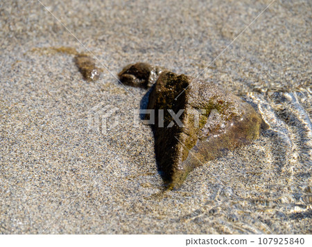 清澈美麗的大海平靜的波浪的特寫。 清澈美麗的大海平靜的波浪的特寫。 107925840