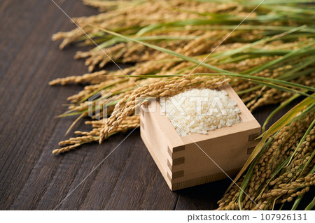 米飯放在一個方形裡 米飯放在一個方形裡 107926131