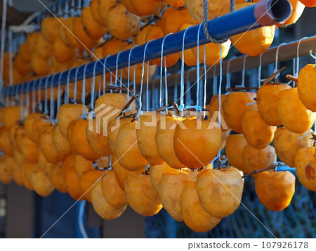 Dried persimmons hanging under the eaves 107926178