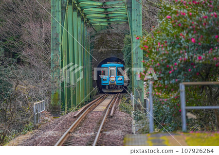 Tarumori Railway Tarumori Railway 107926264