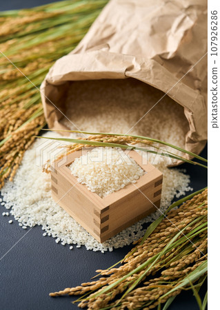 米從米袋裡溢出來 107926286