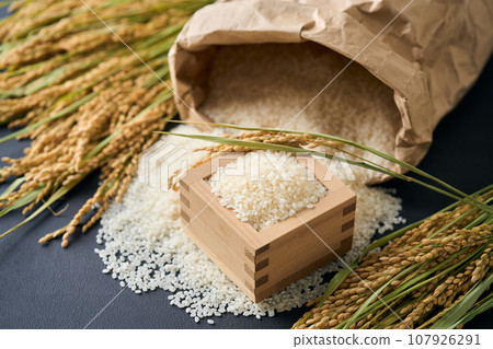 米從米袋裡溢出來 107926291