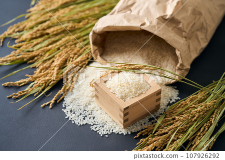 米從米袋裡溢出來 107926292