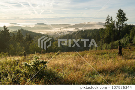 Vulkan Eifel, Rhineland-Palatinate, Germany Vulkan Eifel, Rhineland-Palatinate, Germany 107926344