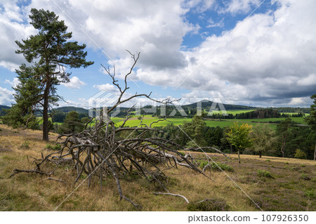 Vulkan Eifel, Rhineland-Palatinate, Germany 107926350