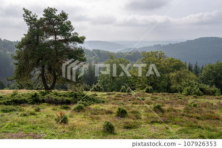 Vulkan Eifel, Rhineland-Palatinate, Germany 107926353