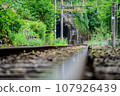 Railroad, tunnel, summer, photo material 107926439