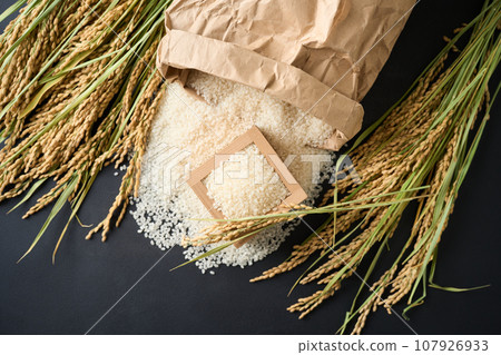 米從米袋裡溢出來 107926933