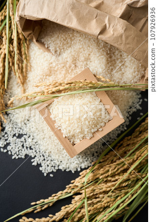 米從米袋裡溢出來 米從米袋裡溢出來 107926936