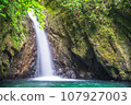 Material photo of fresh greenery and waterfall 107927003