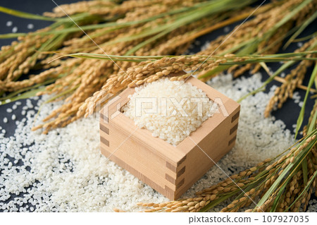 米飯放在一個方形裡 107927035