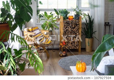 Bright sunny interior of the house with with firewood, an armchair, large potted plants and an autumn decor of pumpkins for halloween and autumn mood. Bright sunny interior of the house with with firewood, an armchair, large potted plants and an autumn decor of pumpkins for halloween and autumn mood. 107927504