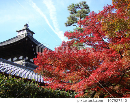 Tofukuji 107927840