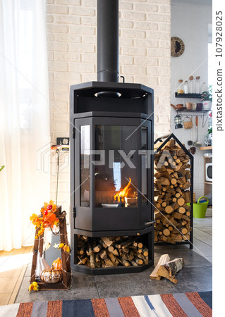 Bright sunny interior of the house with Black Metal Steel fireplace stove with fire and firewood with halloween decor and autumn mood. Cozy home hearth in interior with indoor potted plant 107928025