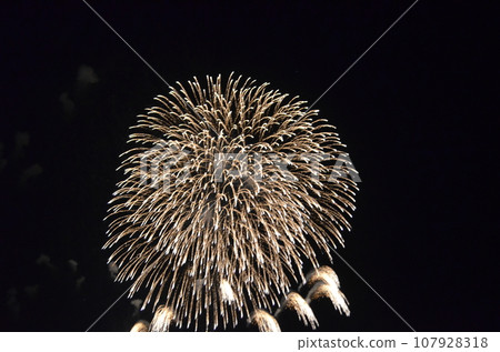 煙花匯演 煙花匯演 107928318