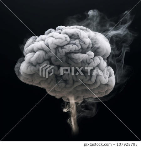 Gray smoke in the form of a human brain, on a dark background 107928795