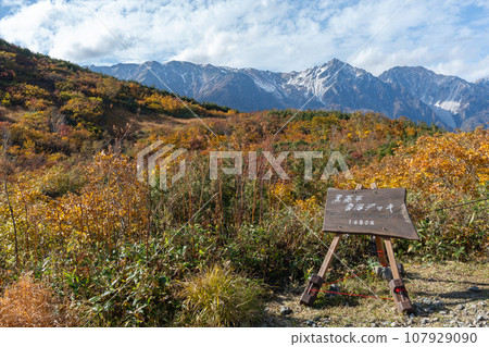 Kurohishihei Hakuba Autumn leaves Kurohishihei Hakuba Autumn leaves 107929090