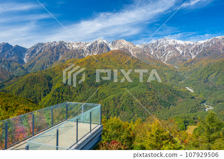 Hakuba with three tiers of autumn leaves, a precious view of snow, autumn leaves, and green trees 107929506