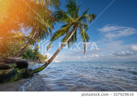 Tropical island theme background 107929616