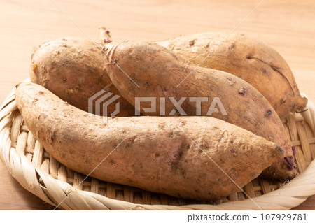 鹿兒島縣的馬龍金(地瓜) 鹿兒島縣的馬龍金(地瓜) 107929781