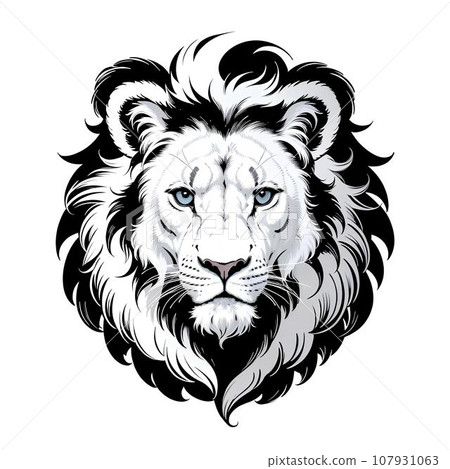 Monochrome lion illustration Monochrome lion illustration 107931063