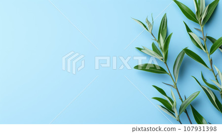Minimal background with natural green leaves on cyan paper with copy space 107931398