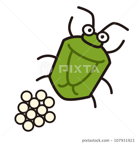 Illustration of stink bug and eggs Illustration of stink bug and eggs 107931921