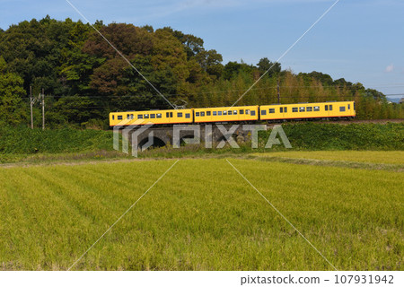 黃色列車駛過梅甘娜大橋 107931942