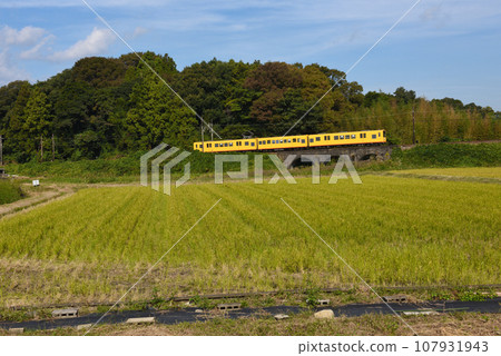 Yellow train going over Megane Bridge Yellow train going over Megane Bridge 107931943
