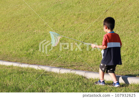 child catching dragonfly child catching dragonfly 107932625