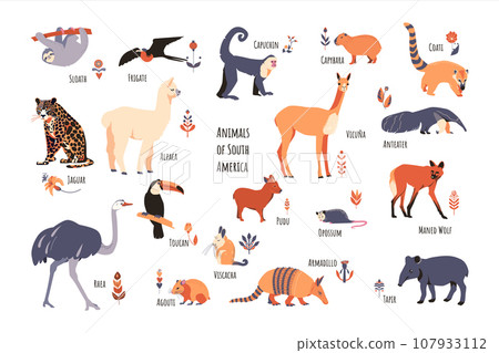 Set of South American animals with floral elements and captions. Simple vector style. Suitable for childrens wallpaper, wrapping paper and textiles 107933112