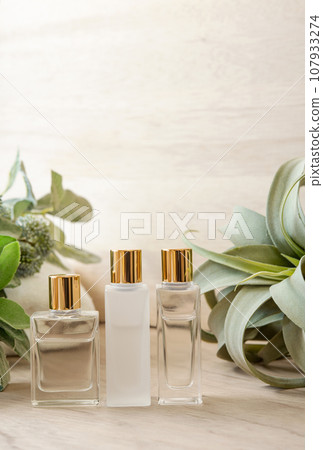 三種類型的磨砂和透明玻璃化妝品瓶和觀賞植物 三種類型的磨砂和透明玻璃化妝品瓶和觀賞植物 107933274