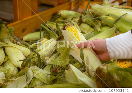 hand taking corn from grocery store shelf hand taking corn from grocery store shelf 107933541