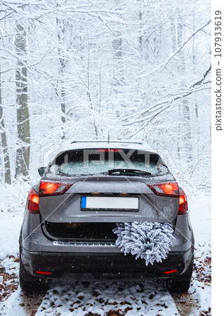 A snowy Christmas tree sticks out of the trunk A snowy Christmas tree sticks out of the trunk 107933619