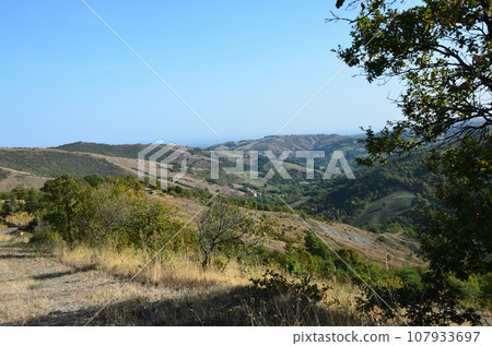 Hills of the Emilian Apennines 107933697