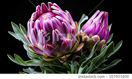 Artichoke bud background material 107933800