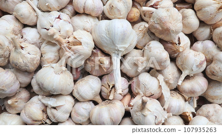 Garlic pile background. Fresh harvested garlic on market table closeup photo. Vitamin healthy food spice image. Pile of garlic heads. top view. Large pile of pink garlic bulbs Garlic pile background. Fresh harvested garlic on market table closeup photo. Vitamin healthy food spice image. Pile of garlic heads. top view. Large pile of pink garlic bulbs 107935263
