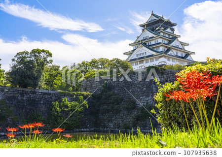 Osaka castle tower and red spider lily Osaka castle tower and red spider lily 107935638