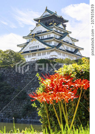 Osaka castle tower and red spider lily Osaka castle tower and red spider lily 107935639