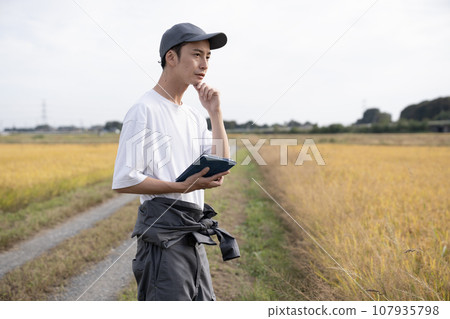 A male rice farmer managing golden rice ears with a tablet 107935798