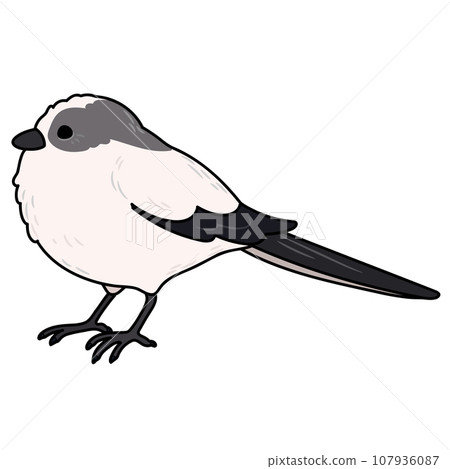 簡單可愛的手繪插圖，帶有主線的長尾山雀 107936087