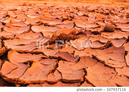 Full frame to terrain with arid climate. The surface of the land is cracked. Crack soil ground texture. The natural texture of soil with cracks. Broken clay surface of barren dryland wasteland closeup Full frame to terrain with arid climate. The surface of the land is cracked. Crack soil ground texture. The natural texture of soil with cracks. Broken clay surface of barren dryland wasteland closeup 107937116