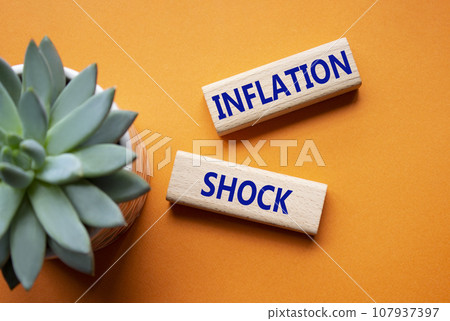 Inflation Shock symbol. Wooden blocks with words Inflation Shock. Beautiful orange background with succulent plant. Business and Inflation Shock concept. Copy space. 107937397