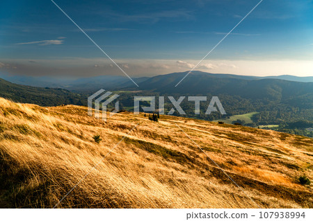 Polonina Wetlinska, Bieszczady mountain, Bieszczady National Park, Poland. 107938994