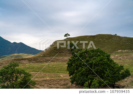 Caucasian mountain. Dagestan. Trees, rocks, mountains, view of the green mountains. Beautiful summer landscape. Caucasian mountain. Dagestan. Trees, rocks, mountains, view of the green mountains. Beautiful summer landscape. 107939435