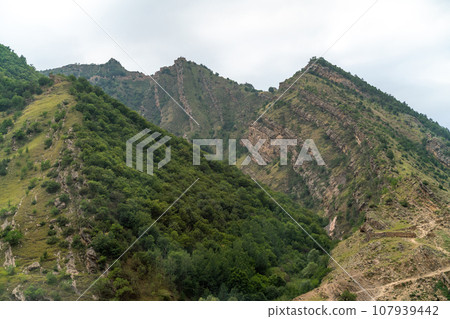 Caucasian mountain. Dagestan. Trees, rocks, mountains, view of the green mountains. Beautiful summer landscape. 107939442