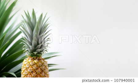 A tall, golden-ripe pineapple among tropical foliage. versus a white background A tall, golden-ripe pineapple among tropical foliage. versus a white background 107940001
