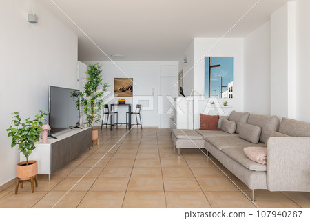 TV set opposite large sofa in elegant studio apartment TV set opposite large sofa in elegant studio apartment 107940287