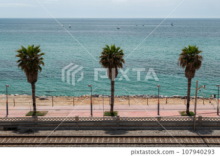 Tram railway and high palms on embankment in Vilassar de Mar, Barcelona Tram railway and high palms on embankment in Vilassar de Mar, Barcelona 107940293