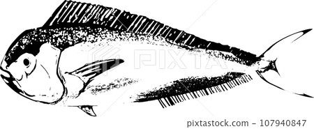 海豚魚的魚印插圖 107940847